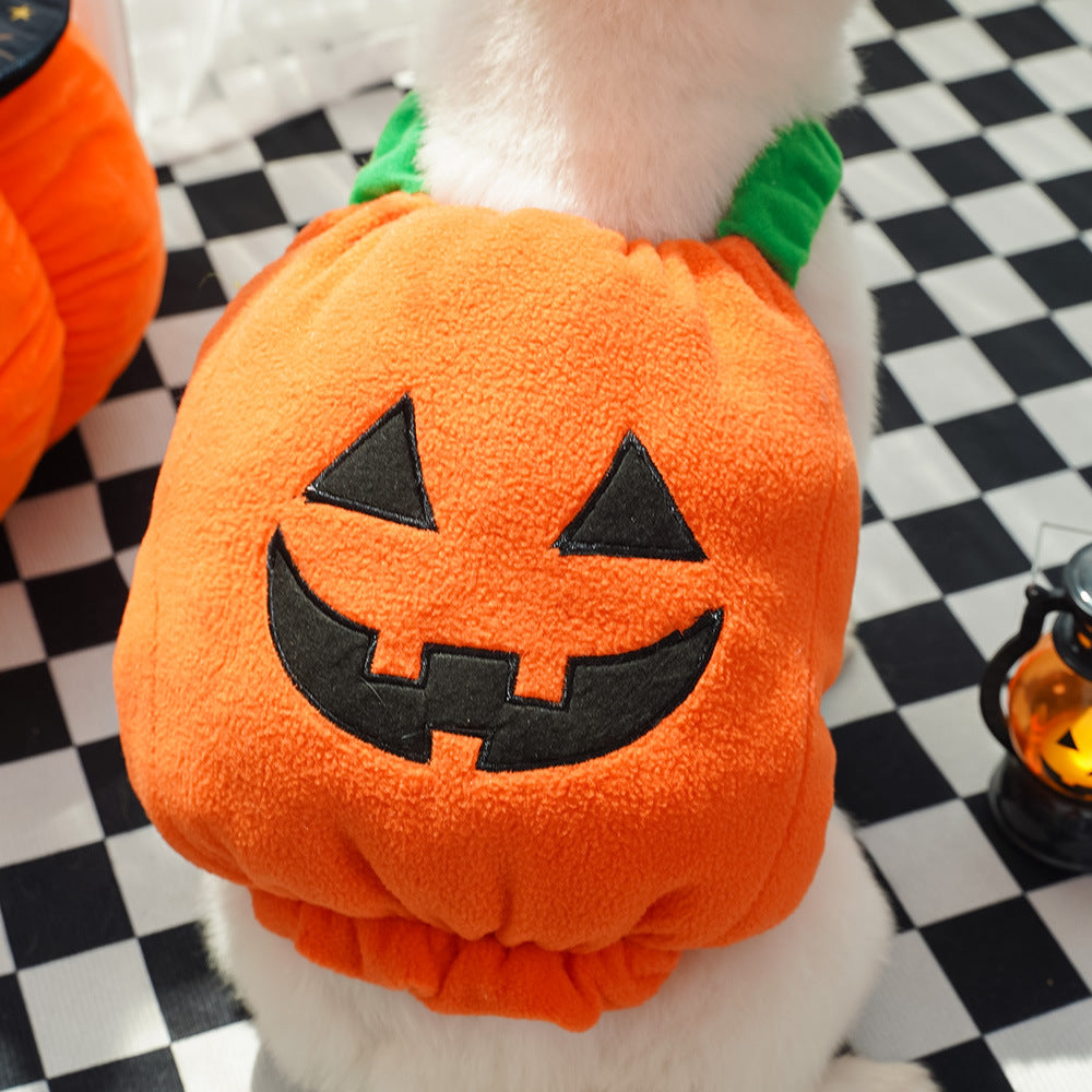 Roupas de transformação para cães e gatos pequenos e médios da Amazon para o Halloween, roupas para animais de estimação, suprimentos para roupas de gato e cachorro.