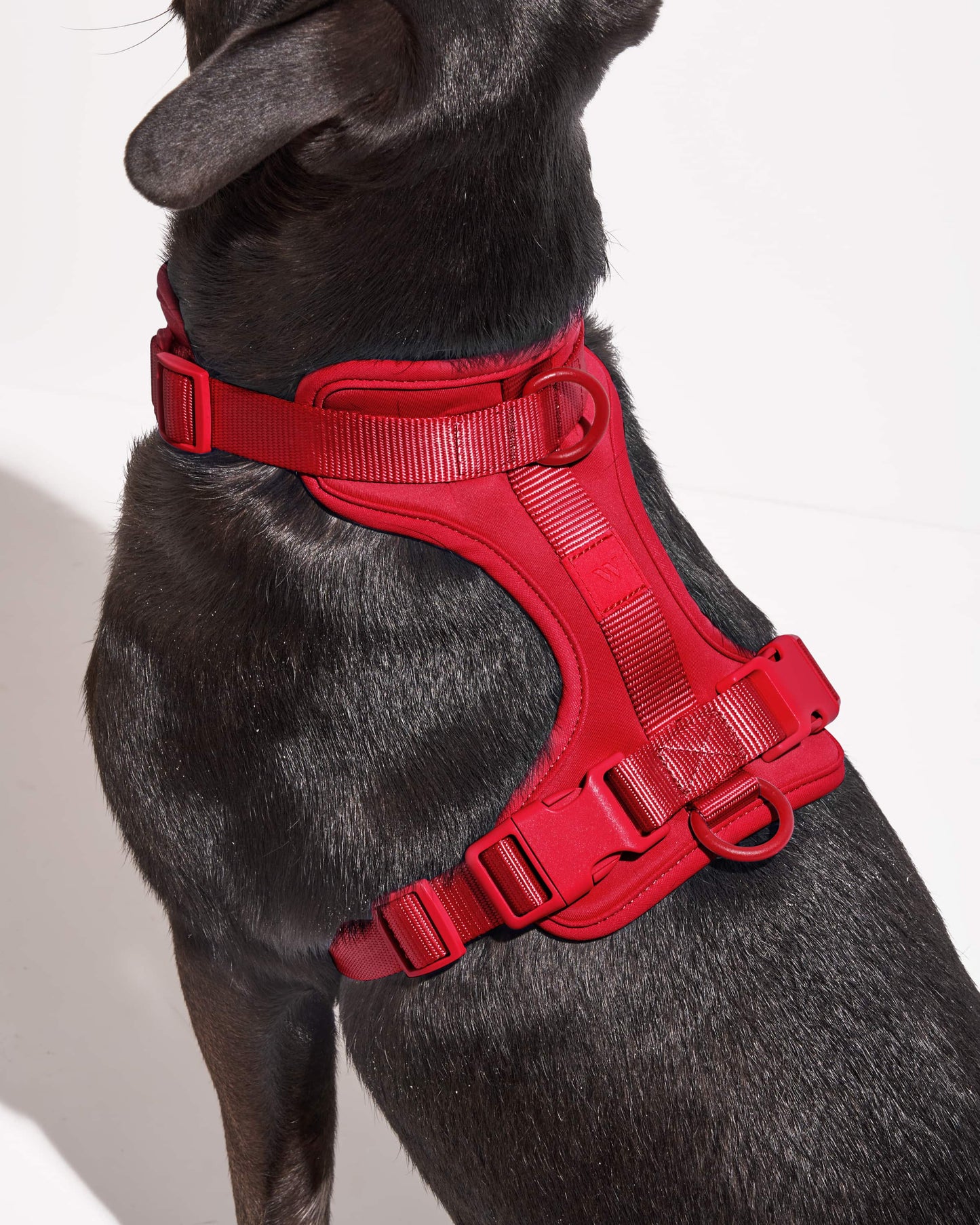 Vermelho