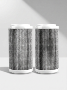 2 Filtros Hepa