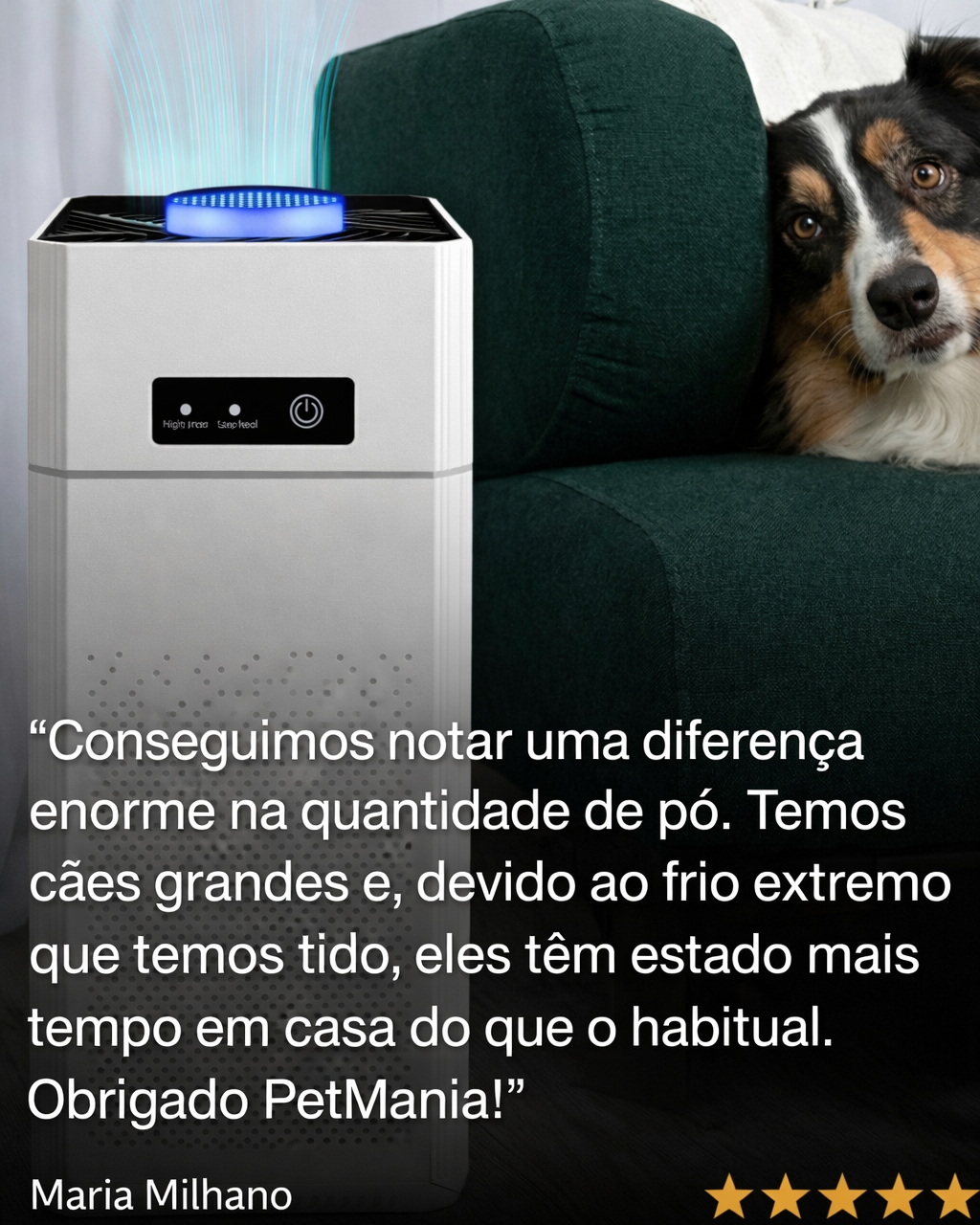Pet Air Cleaner