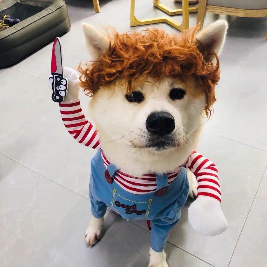 Roupas de transformação para cães e gatos pequenos e médios da Amazon para o Halloween, roupas para animais de estimação, suprimentos para roupas de gato e cachorro.