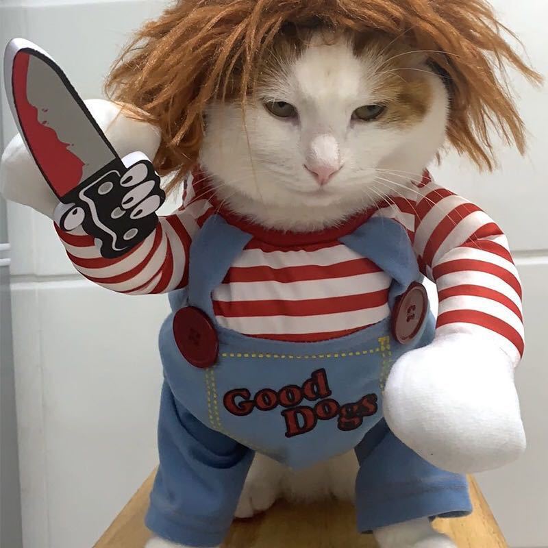 Roupas de transformação para cães e gatos pequenos e médios da Amazon para o Halloween, roupas para animais de estimação, suprimentos para roupas de gato e cachorro.