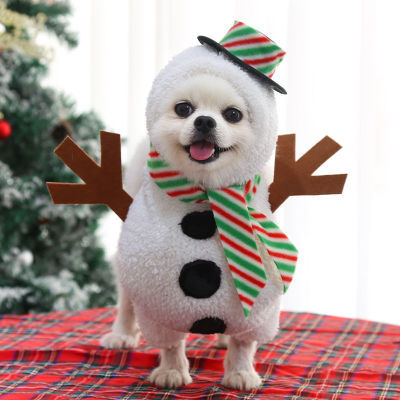 Roupas de transformação para cães e gatos pequenos e médios da Amazon para o Halloween, roupas para animais de estimação, suprimentos para roupas de gato e cachorro.