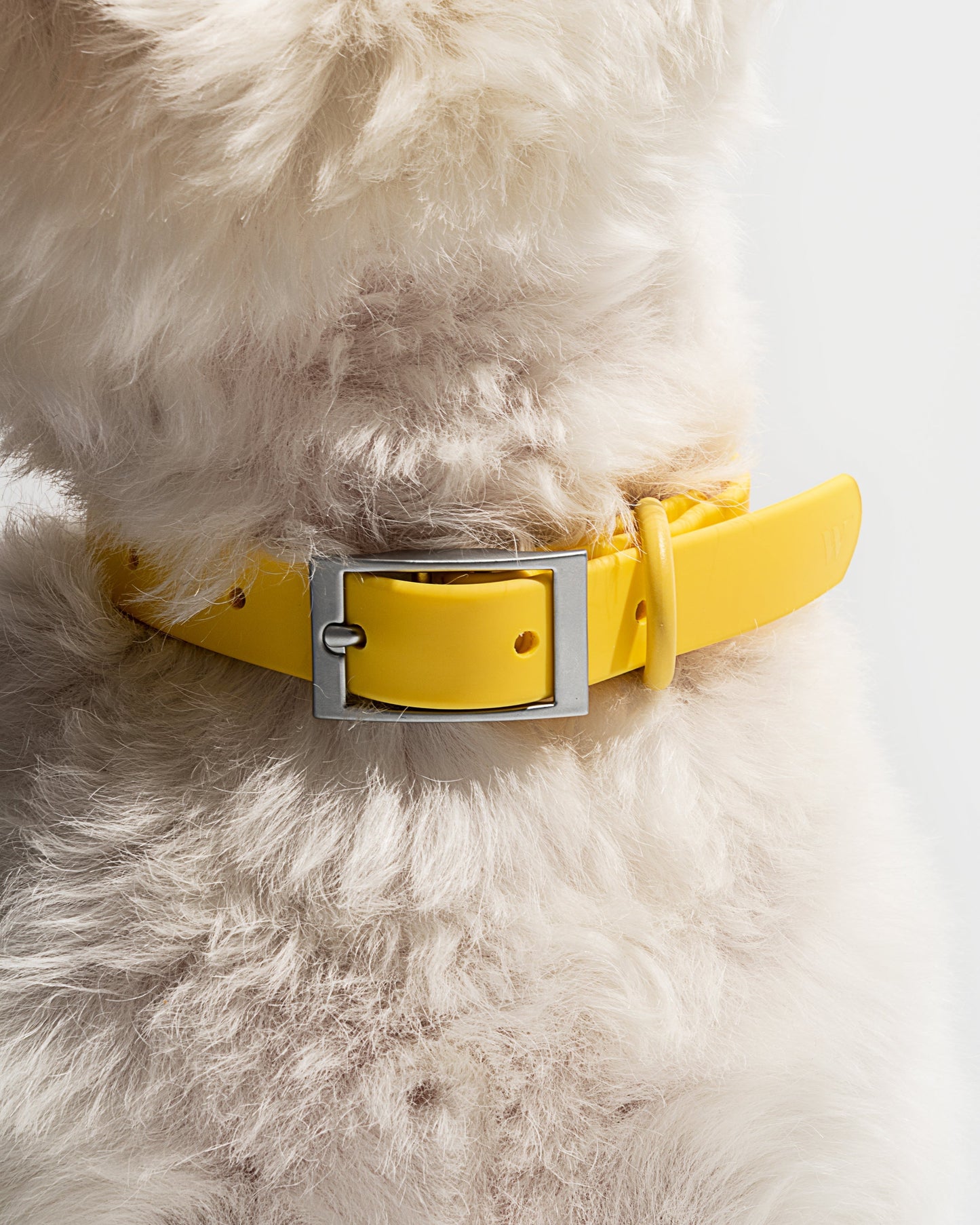 Amarelo