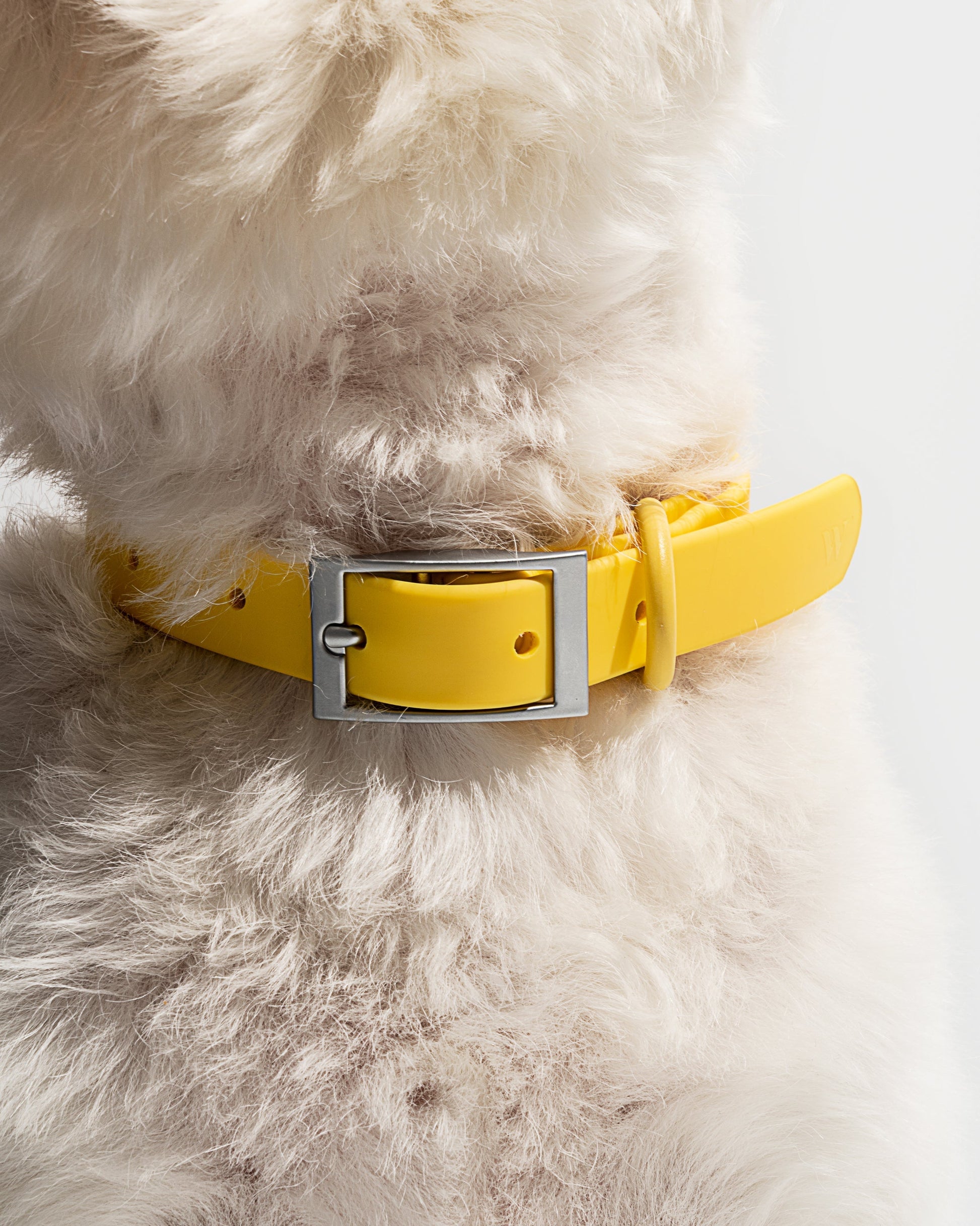 Amarelo