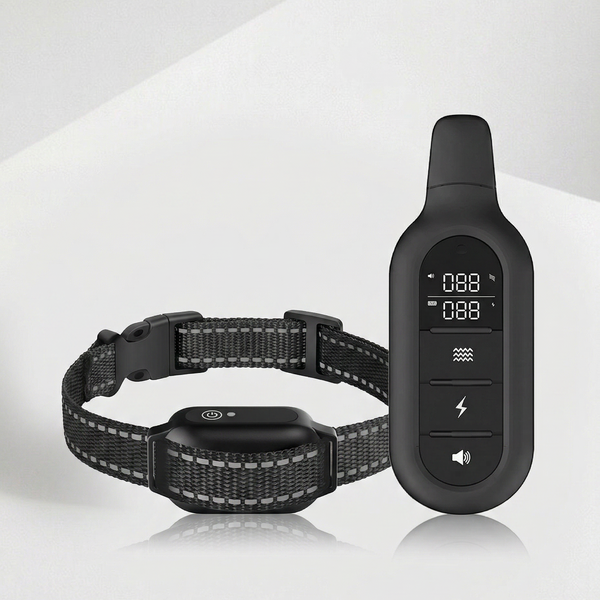 SmartDog Trainer
